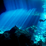 Misteri Laut Dalam Dunia yang Lebih Misterius dari Luar Angkasa