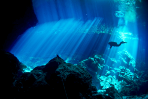 Misteri Laut Dalam Dunia yang Lebih Misterius dari Luar Angkasa