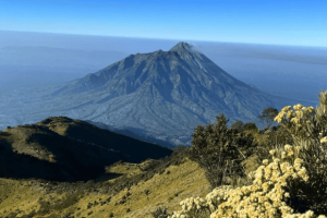 Gunung Merbabu Pesona Savana dan Puncak Jawa Tengah