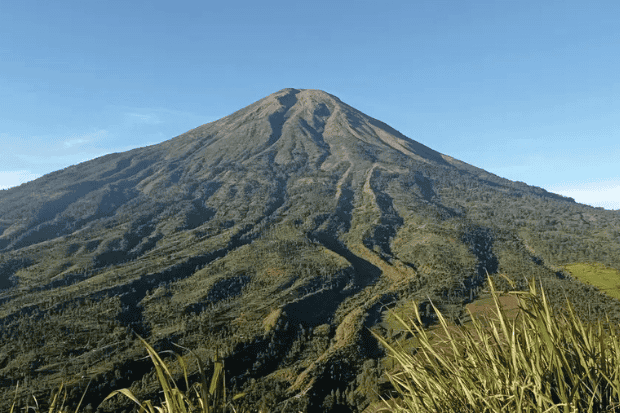 Gunung Sindoro Keindahan Kawah dan Ladang Edelweiss Jawa