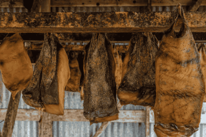 Hakarl Makanan Ekstrem Islandia yang Mengundang Rasa Penasaran Dunia