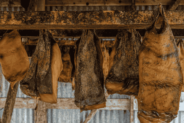 Hakarl Makanan Ekstrem Islandia yang Mengundang Rasa Penasaran Dunia